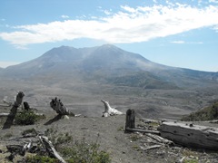 [Mt. St. Helens Volcano 095[2].jpg]