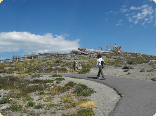 Mt. St. Helens Volcano 116