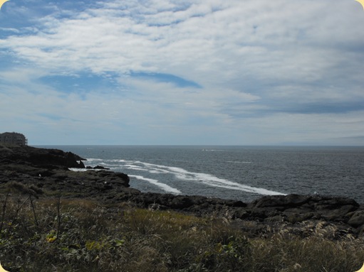 Lincoln City to Florence, OR 036