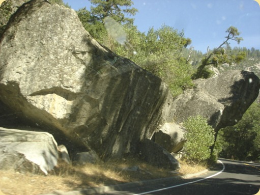 Yosemite National Park, CA 088