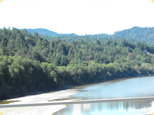 Avenue of the Giants-Ancient Redwoods 018