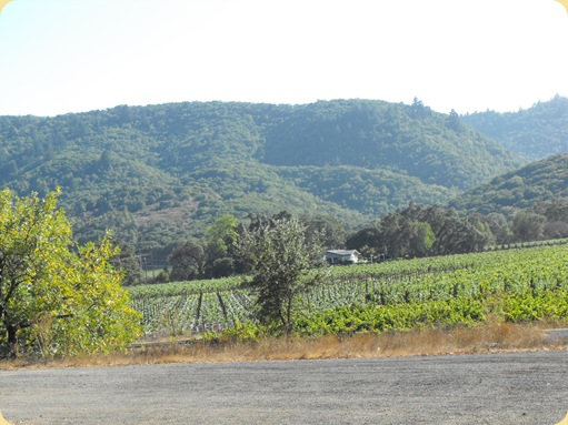 Napa Valley Vineyards 283