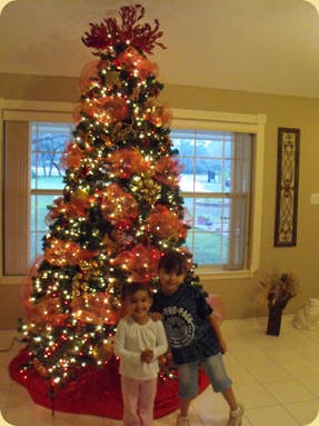 Christmas 2009 Decor 012