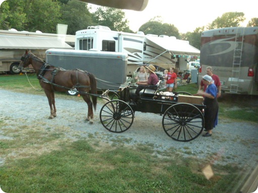 Amish Visit to Park 008