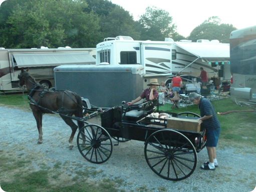 Amish Visit to Park 026