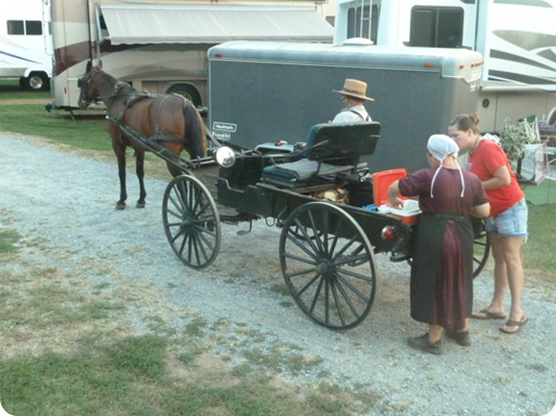 Amish Visit to Park 041
