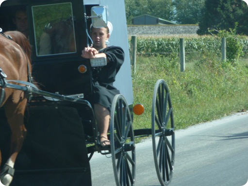 The Amish Village 244