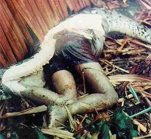 [snake3[3].jpg]