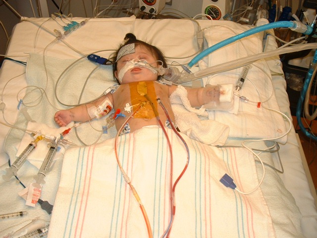 [surgery 008[2].jpg]