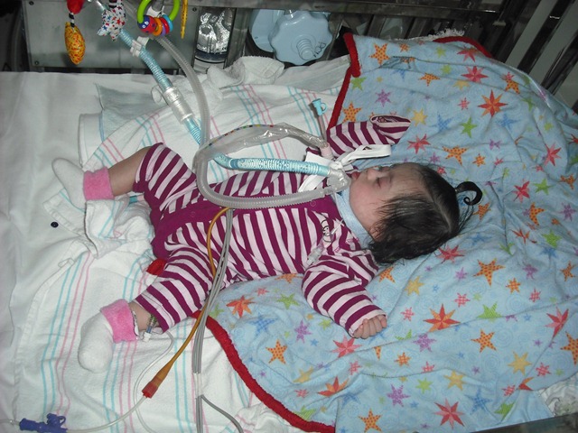 [june 18 001[7].jpg]