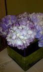 These mighty be the nicest center pieces I have ever seen
