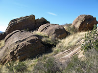 IMG_0175.JPG Photo
