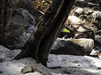 IMG_0273.JPG Photo