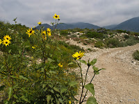 IMG_0893.JPG Photo