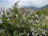 IMG_0895.JPG Photo