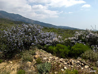 IMG_0897.JPG Photo
