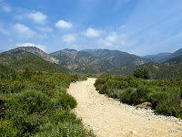 IMG_0899.JPG Photo