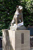 Hachikō, the faithful dog Photo
