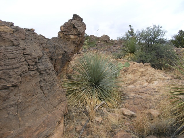 [P62754115.jpg]