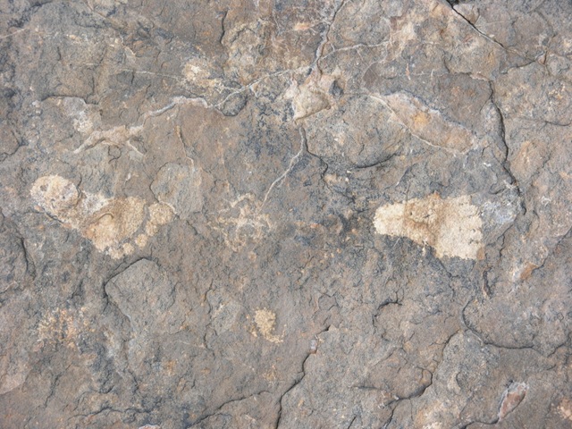 [P62754125.jpg]
