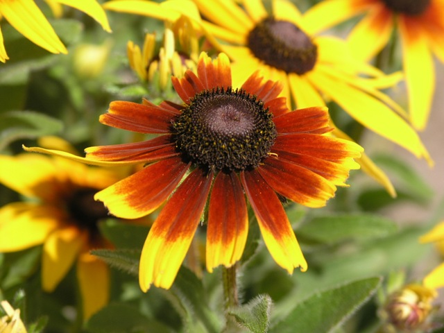 [P7045458[2].jpg]