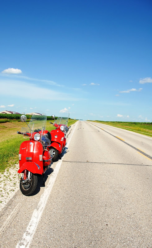 External inline image provided by member with no explanatory text