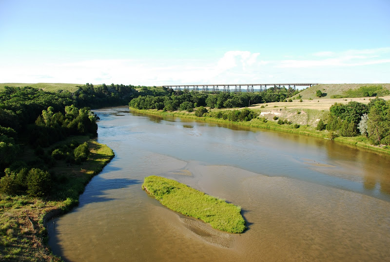 External inline image provided by member with no explanatory text