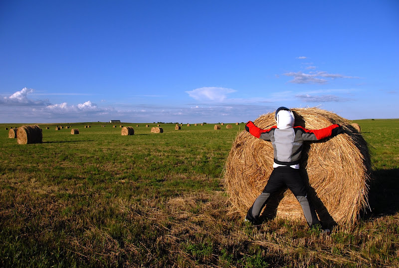 External inline image provided by member with no explanatory text