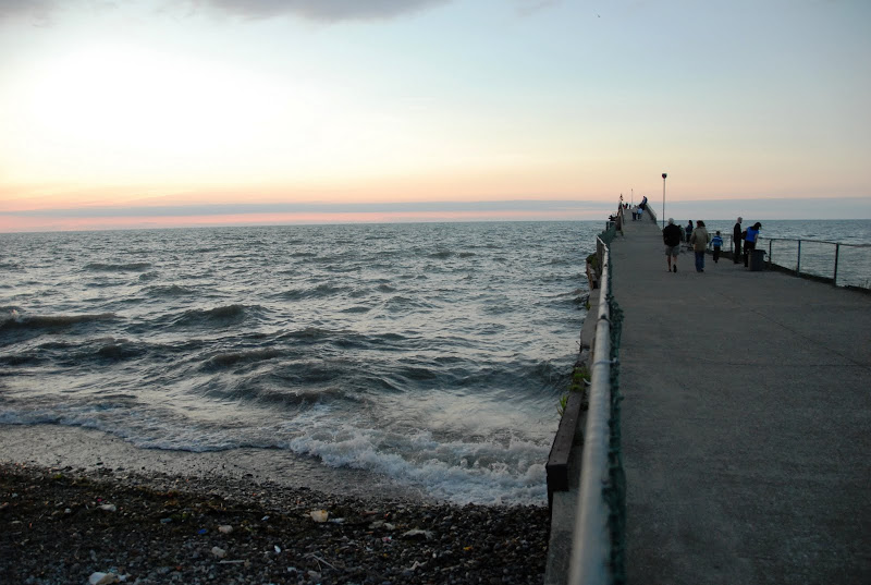 External inline image provided by member with no explanatory text