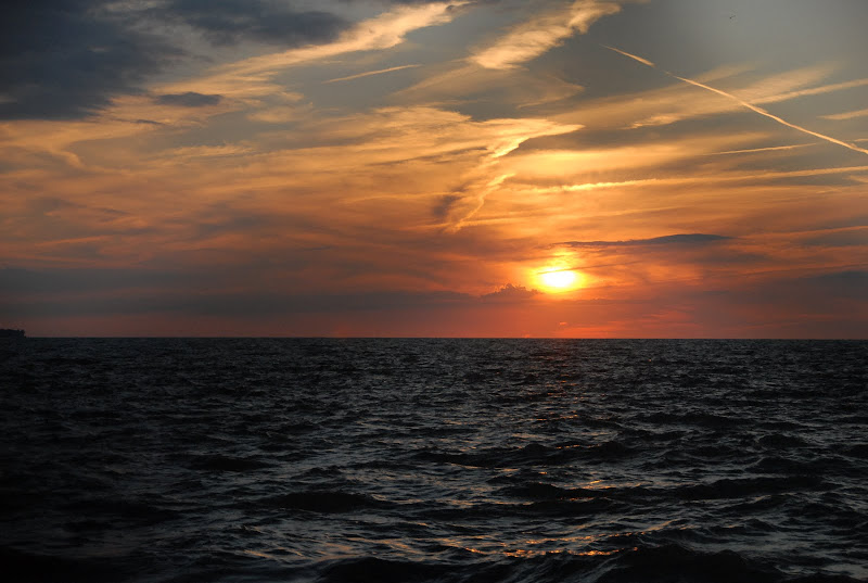 External inline image provided by member with no explanatory text