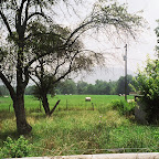 Area where the James Gleaves Turk Family lived
Waynesboro, Virginia
