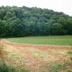 Jean Gleaves visits the Gleaves Slave cemetery.  Yes, she is there.