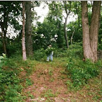 Click to Expand Virginia Melton removes brush from the Micheal Gleaves Cemetery, Old HIckory, Tennessee