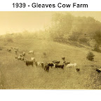 Gleaves Cow Farm