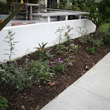 Paula Poll's Butterfly Garden