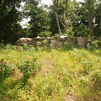 View before clean up, Micheal Gleaves Cemetery.
