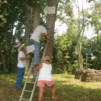 Hang on to that ladder Betty!