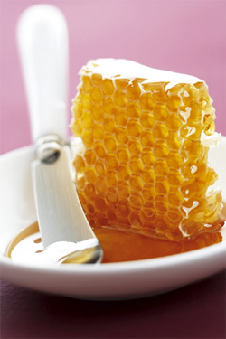 Bee royal jelly, the queen