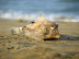 DSCN0164.JPG