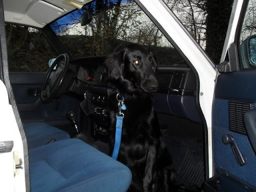 [Afbeelding: SDC11006.JPG]