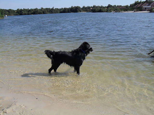 [Afbeelding: SDC10327.JPG]