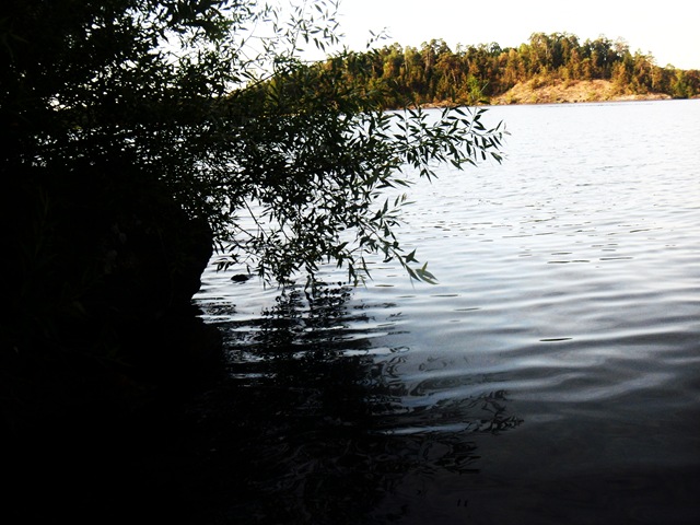 [P7200056[2].jpg]