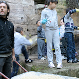 terraret012.jpg