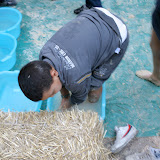 terraret028.jpg terraret028.jpg
