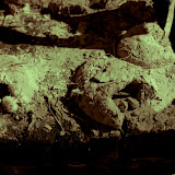 terraret036.jpg