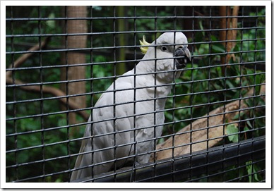 DSC_0008 DSC_0008