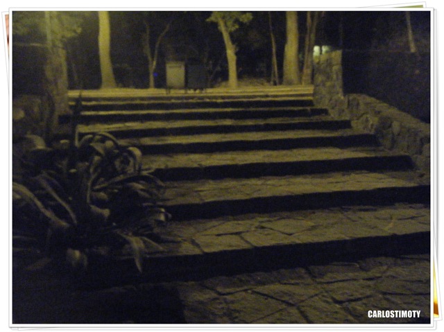 [2011_0216Nuevas0014[4].jpg]