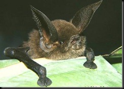 image021 image021