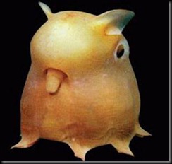 image007 image007