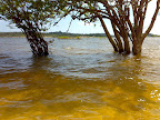 Praia do Cajueiro, em Alter do Chão.